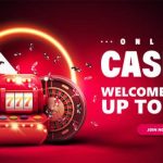 Earn Daily Bonuses by Playing Slots on 365raja