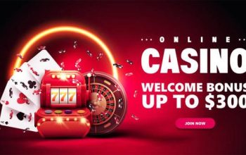Earn Daily Bonuses by Playing Slots on 365raja